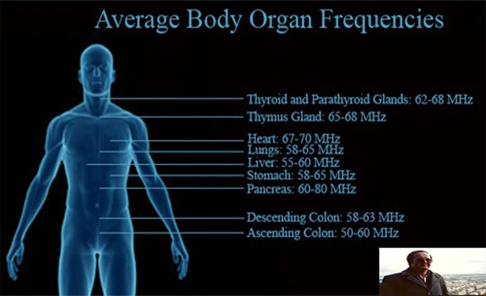 What is bio frequency frequency project