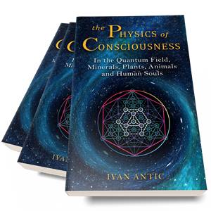 Physics of Consciousness Cover